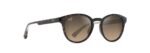 HS636-10